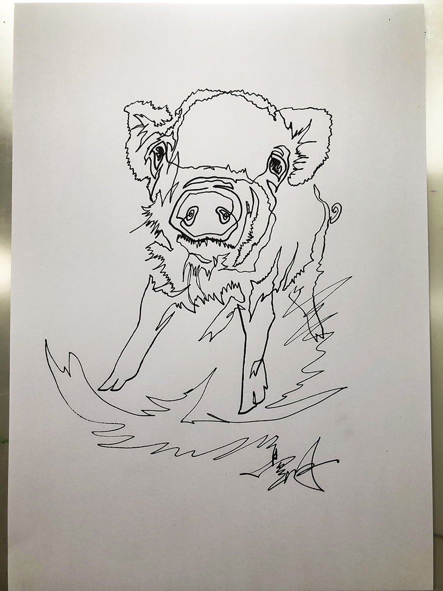 一笔画宠物猪