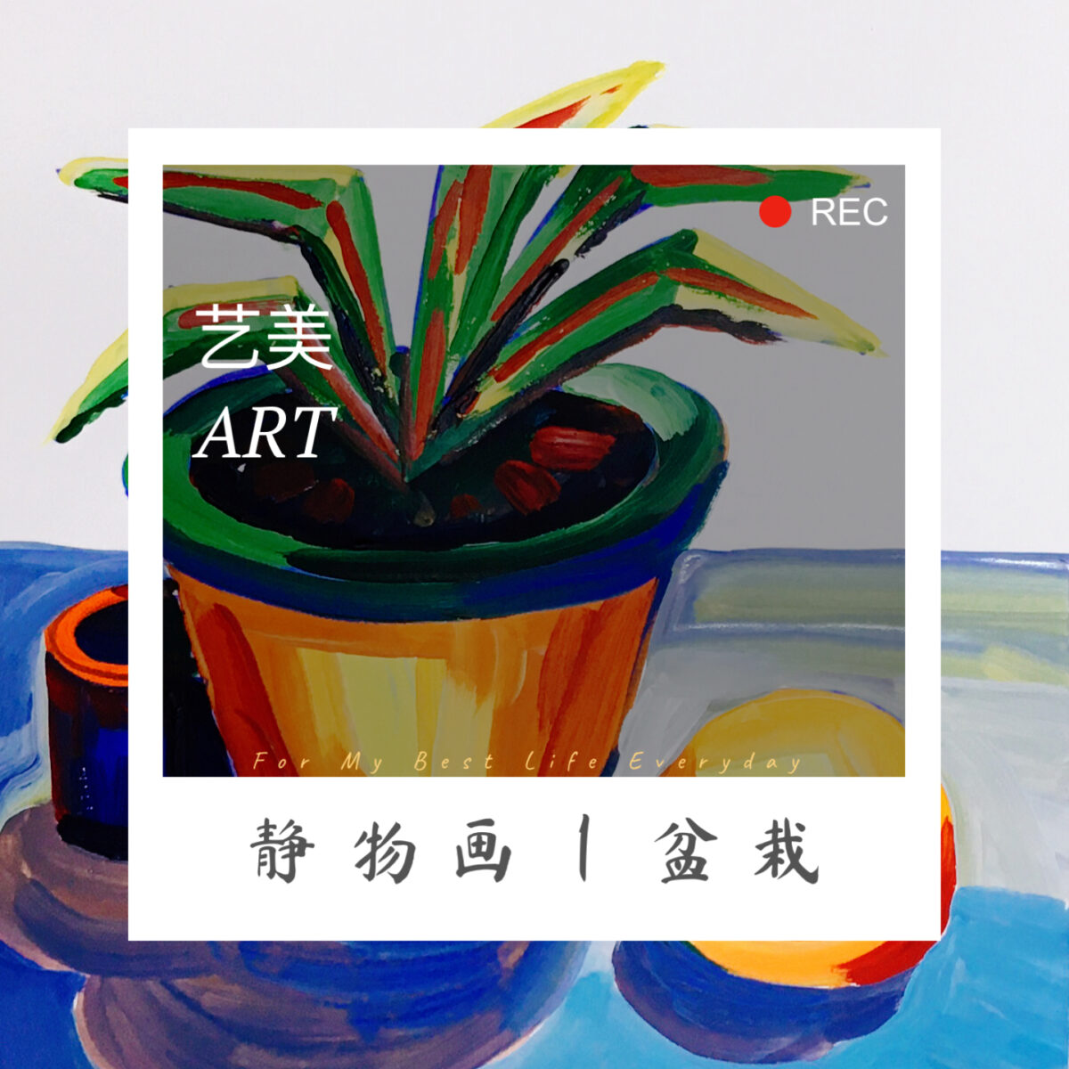 静物画～盆栽