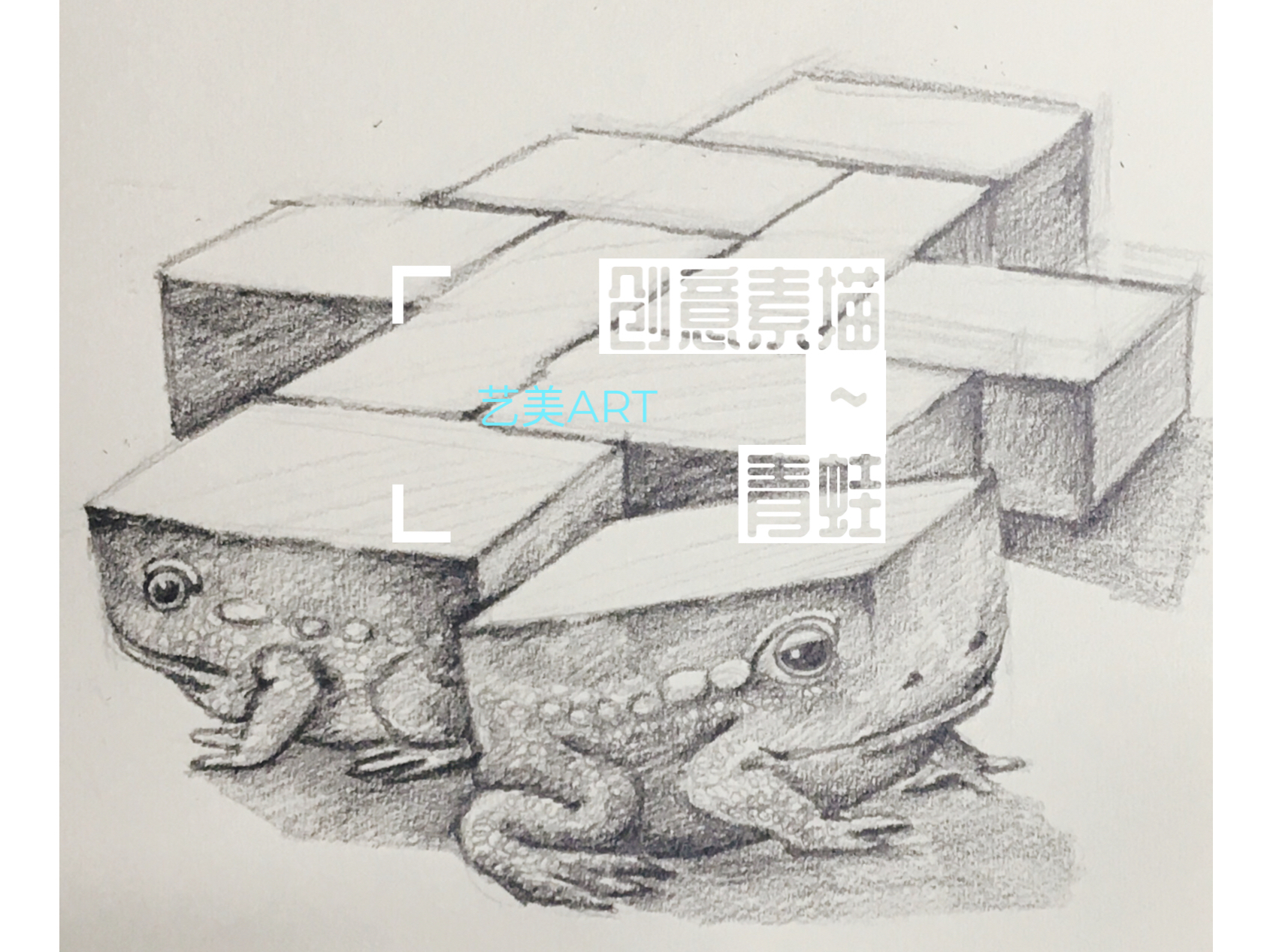 创意素描～青蛙