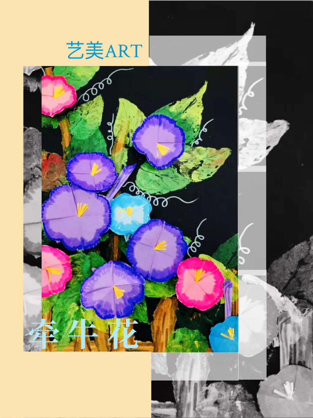 牵牛花