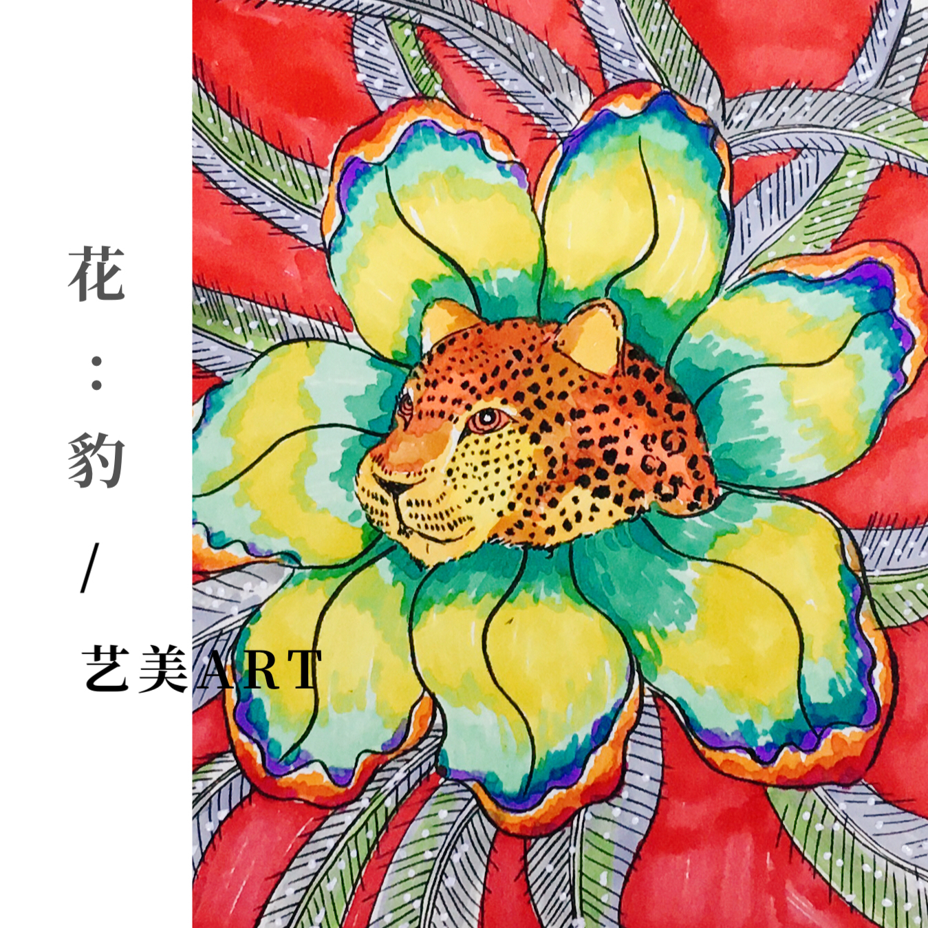 花·豹