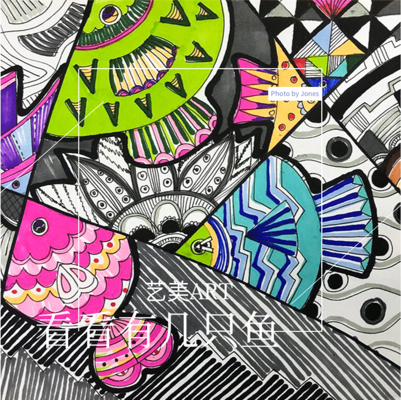 看看有几只鱼