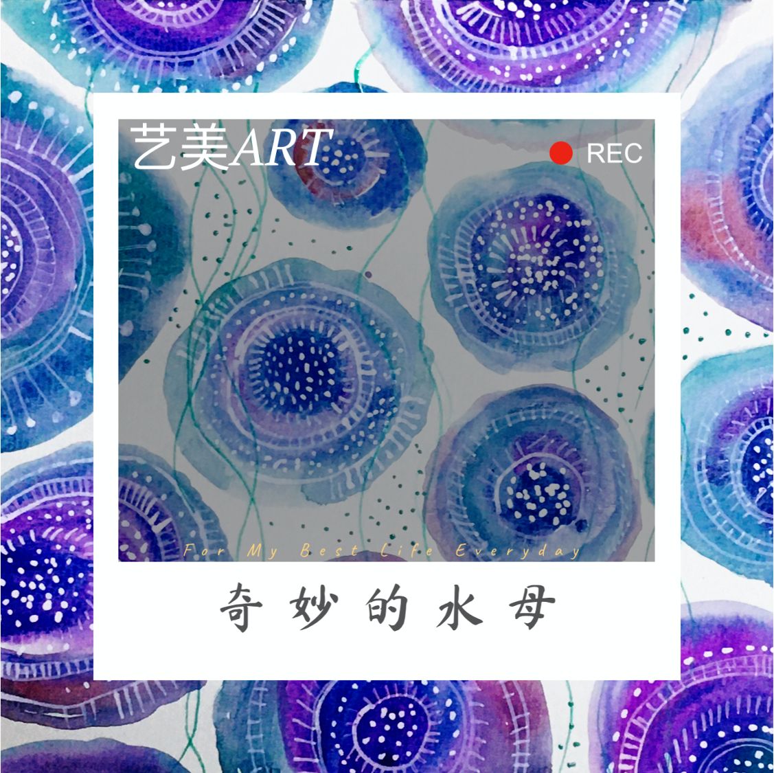 奇妙的水母