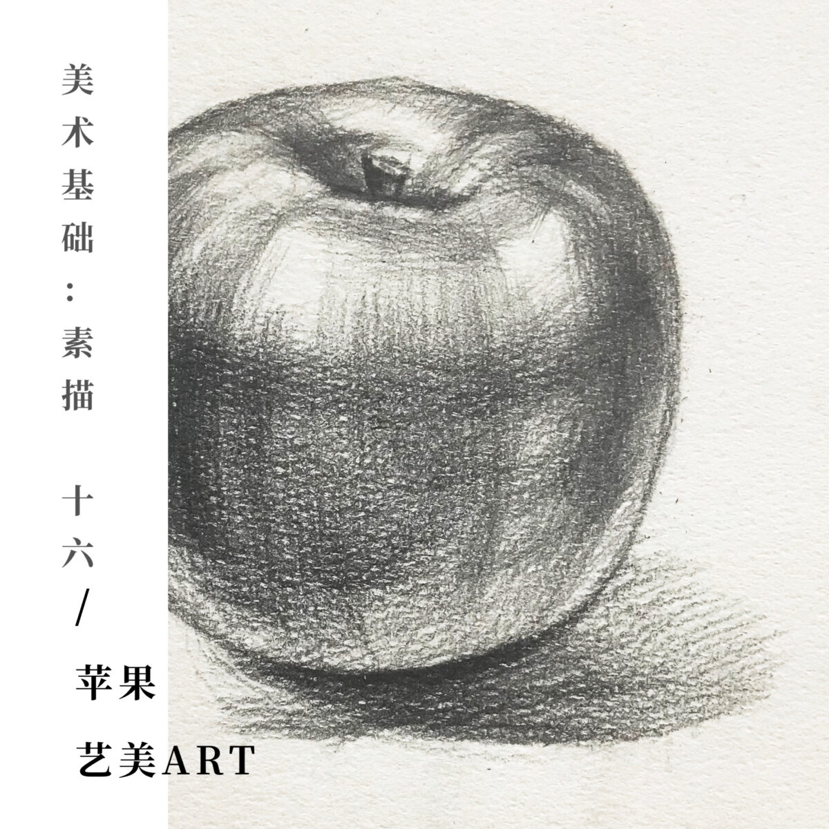 美术基础：素描（十六）静物-单颗苹果