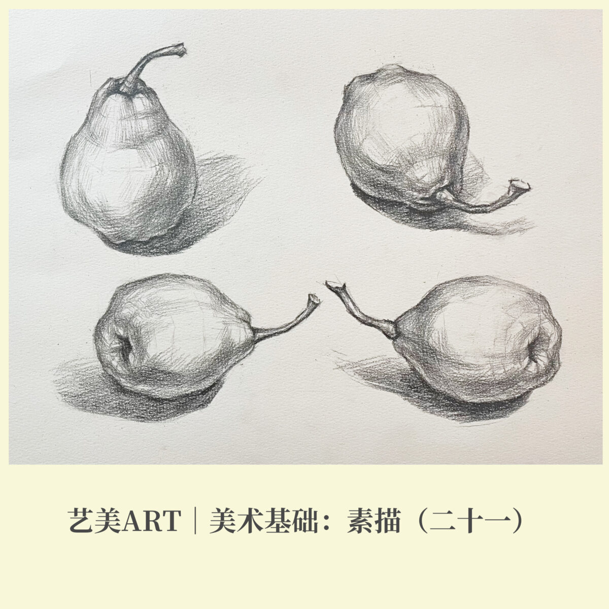 美术基础：素描（二十一）不同角度的梨