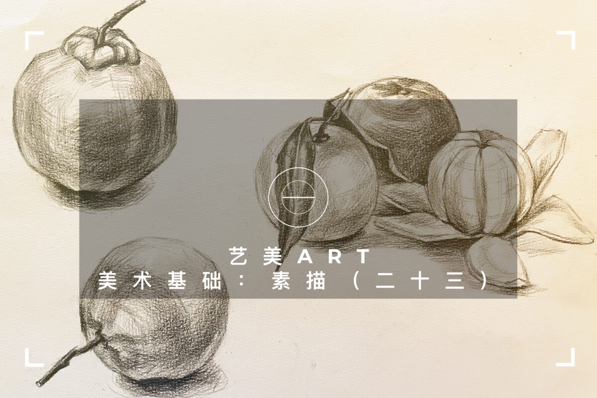 美术基础：素描（二十三）单个橘子、多个橘子及剥皮橘子