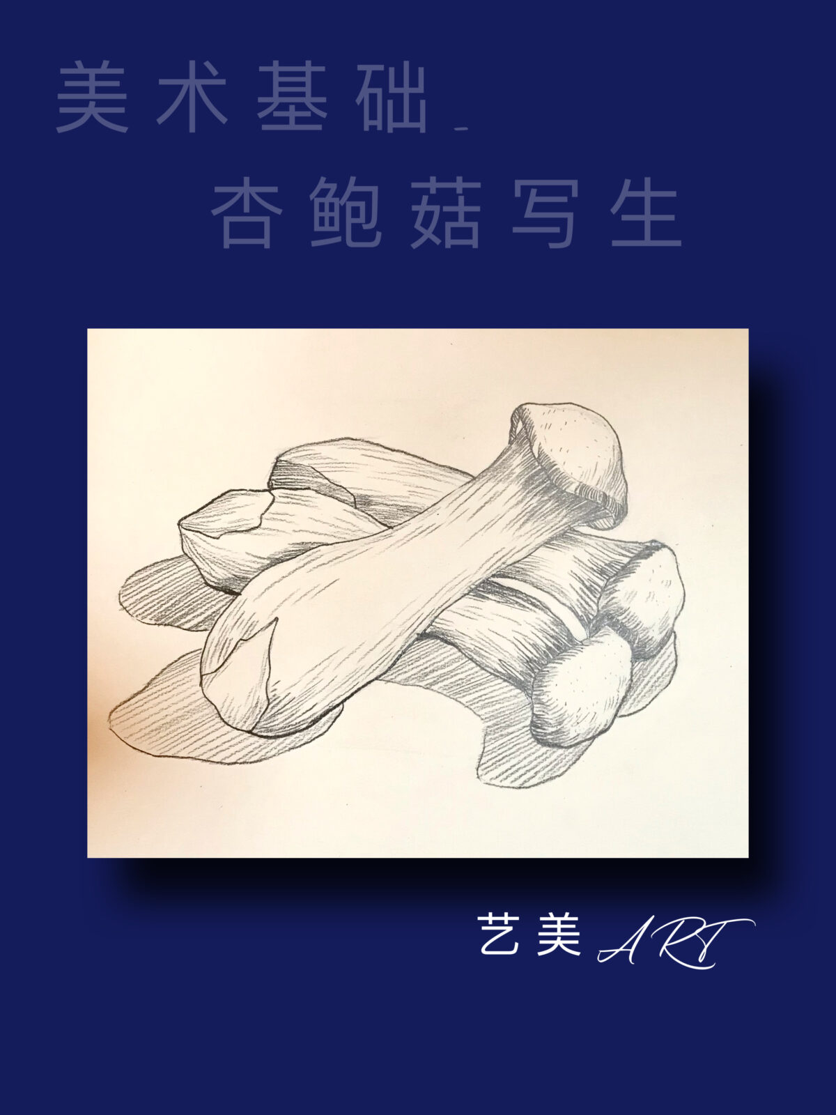 美术基础：静物速写（九）杏鲍菇写生