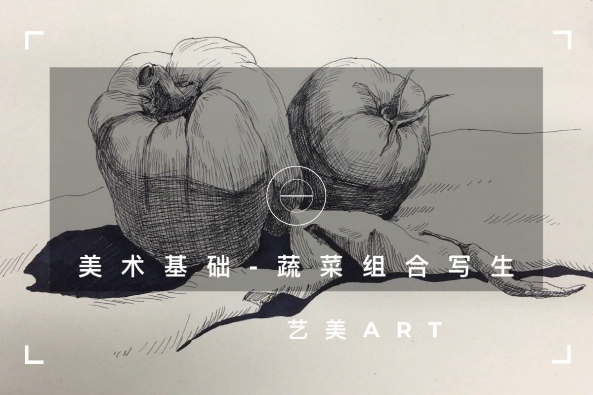 美术基础：静物速写（十四）蔬菜组合写生