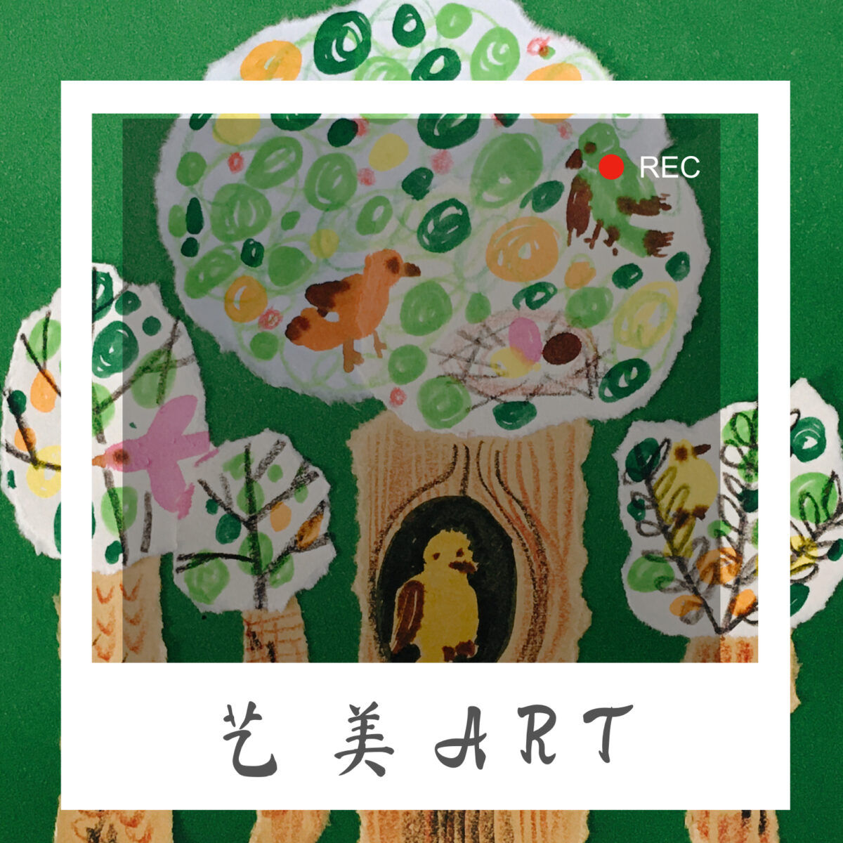 栖息