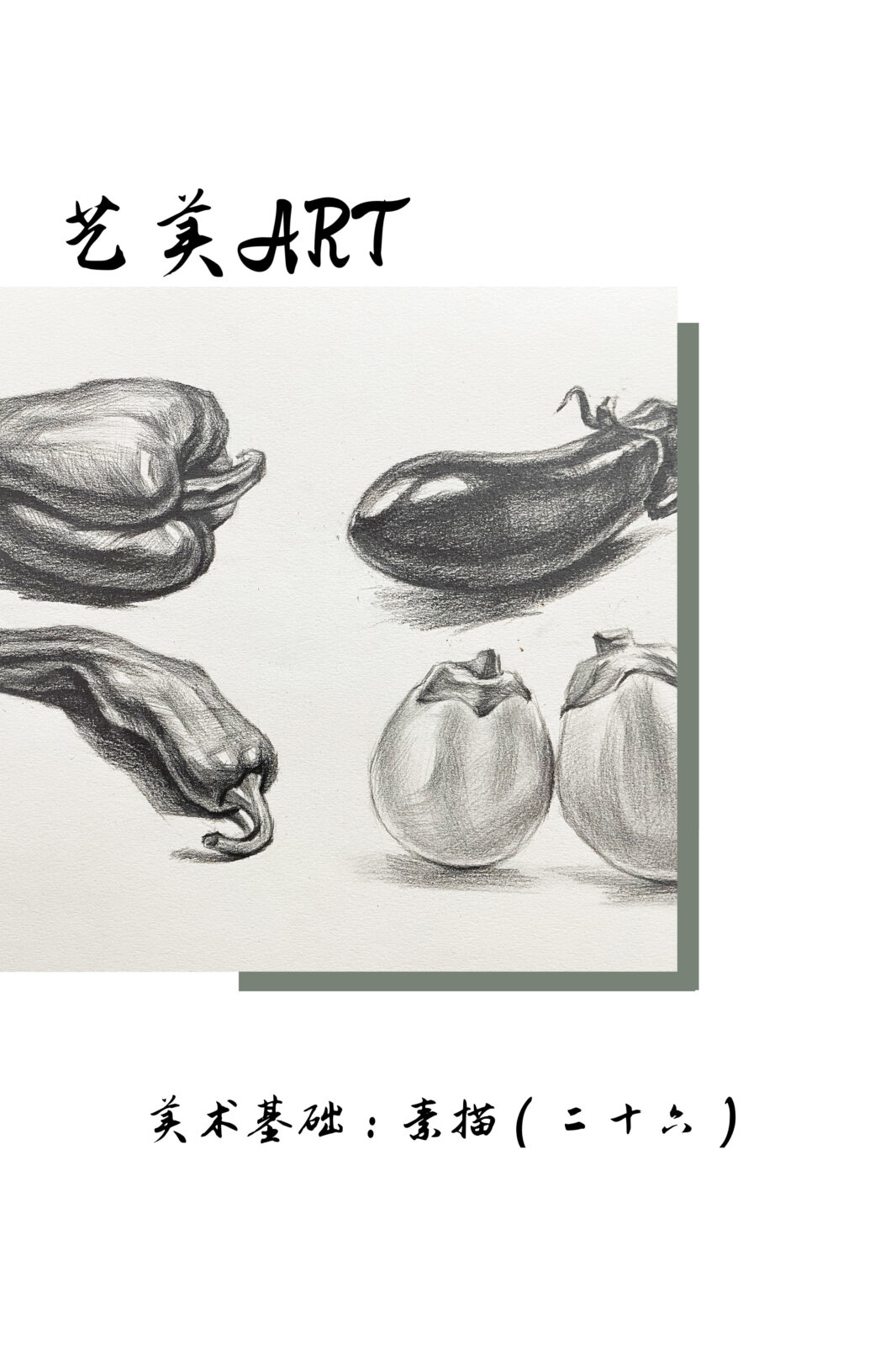 美术基础：素描（二十六）青椒、尖椒、茄子