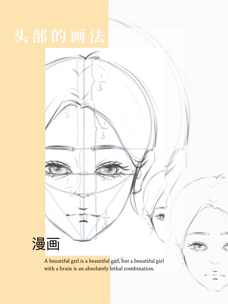 初级漫画(三)头部的画法